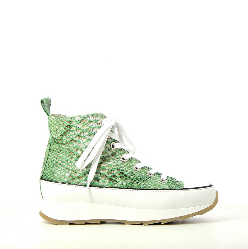 h0701d-vert