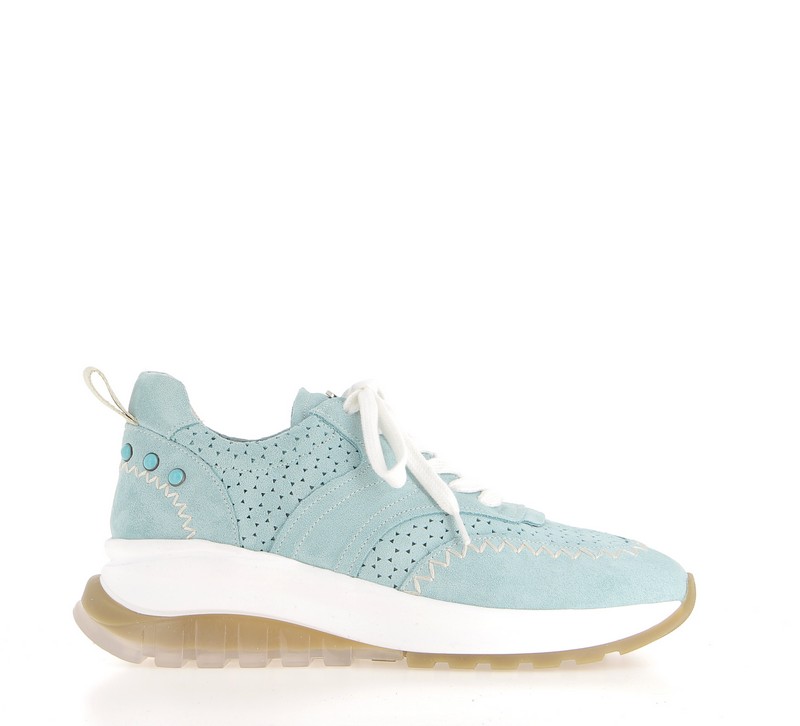 h0827n-acqua-1