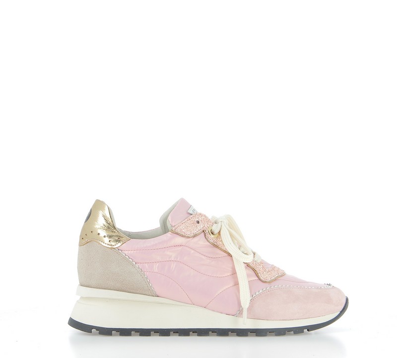 h0911v-rose