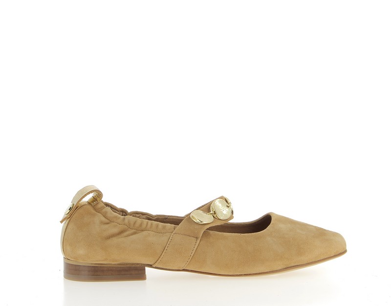 h0991a-cognac-1