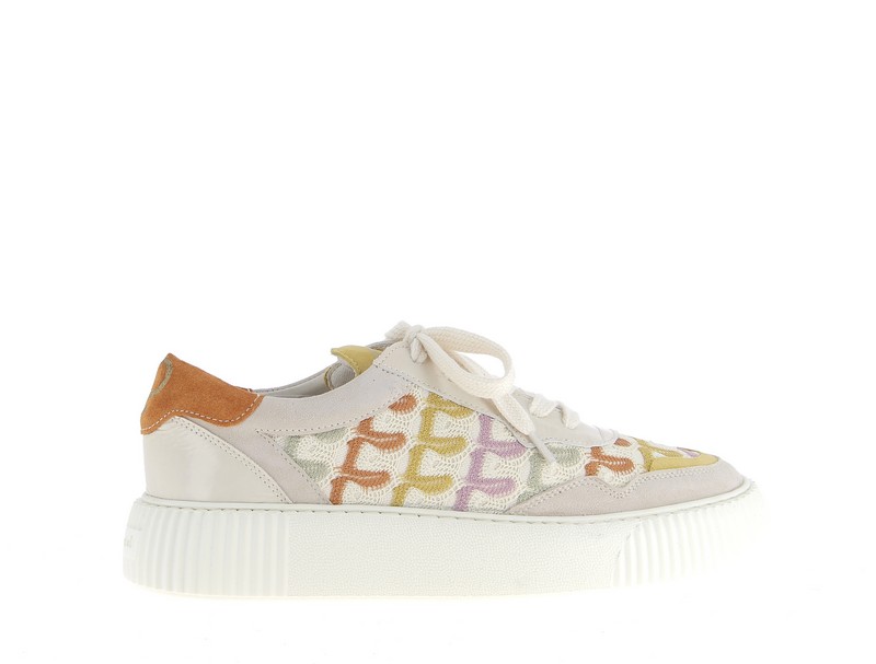 h1026w-citrus-1